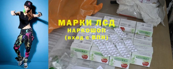 шишки Верхний Тагил