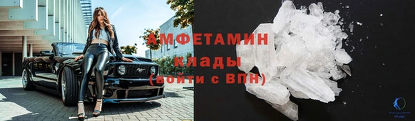 шишки Верхний Тагил