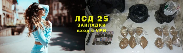 хмурый Верея