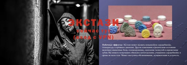 хмурый Верея