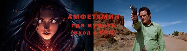 хмурый Верея