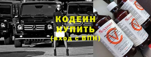 шишки Верхний Тагил