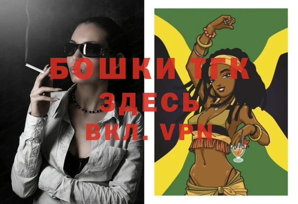 шишки Верхний Тагил