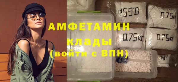 шишки Верхний Тагил