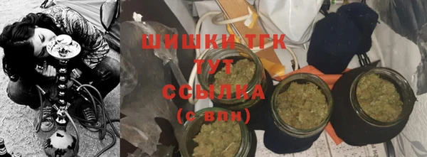 хмурый Верея