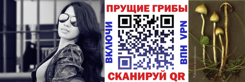 сколько стоит Сретенск Галлюциногенные грибы ЛСД